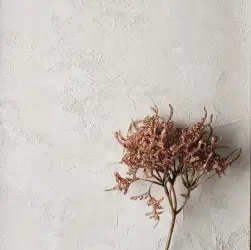 Декоративная<br>штукатурка